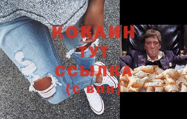 индика Алексин