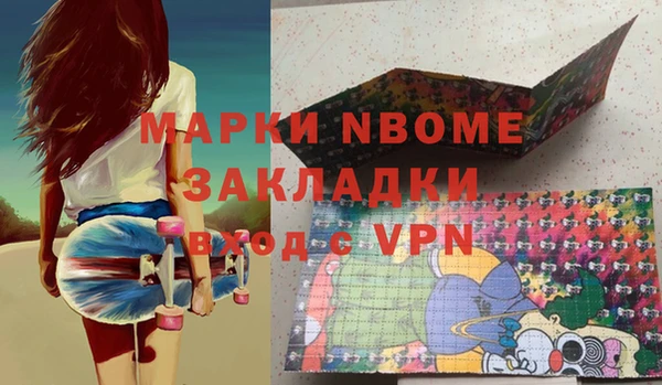 индика Алексин