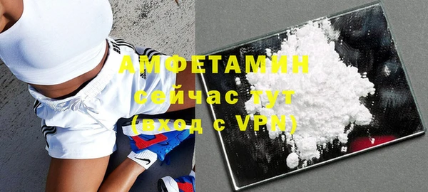 дмт Алзамай