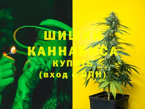 дмт Алзамай
