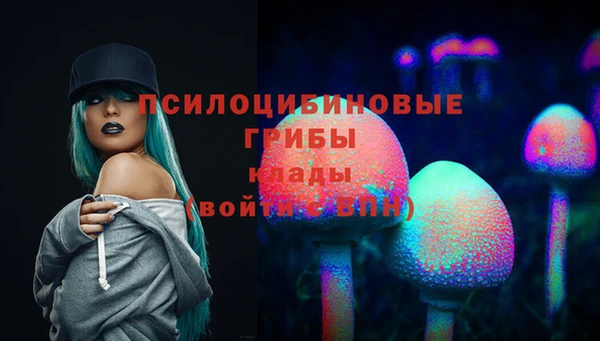 дмт Алзамай